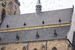 Cathedral of St. Bartholomew in winter