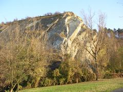 Braník rocks in Prague Basin