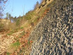 Nodular limestone Braník rocks in Prague