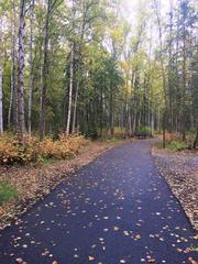 Anchorage Botanical Garden in Alaska