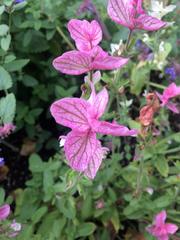 Anchorage Botanical Garden