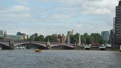 Duck in the Water River Thames