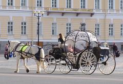 Horse pulling a carriage at Palace Square in Saint Petersburg