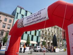 participants running in Brno during 2011 event