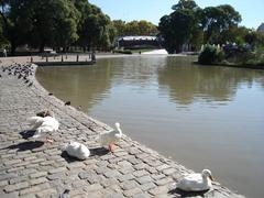 view of the lake at Parque Centenario, Buenos Aires