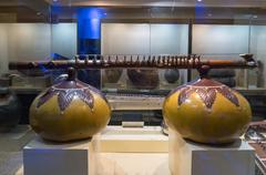 Veena in Raja Dinkar Kelkar Museum, Pune