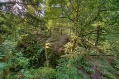 Buben Castle ruins with a forested background in the Czech Republic