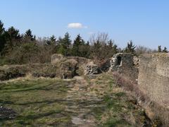 Buben Castle ruins surrounded by trees