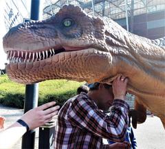 Dinosaur display at the Museum of Evolution during the 23rd Science Picnic 2019