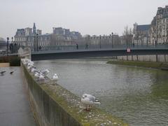 Pont Saint-Louis in Paris with a view of the Square de l'Île de France parapet