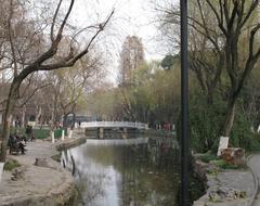 Lake and trees of Luxun Park in winter, Shanghai