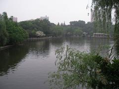 pond in Lu Xun Park with green trees and blue sky