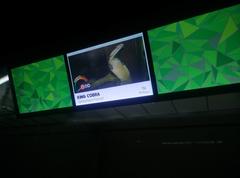 snake in Zoo Negara Malaysia