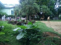 Zoo Negara Malaysia entrance