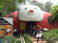 Insect zoo with various species on display