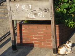 Yuyake-dandan stairs with calico cat in Yanaka, Tokyo