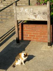 Yuyake-dandan stairs with a calico cat in Yanaka Ginza, Tokyo