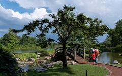 Jules and Gabriel at the Japanese Garden of the Phoenix in Chicago