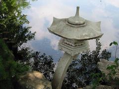 Peering into a lagoon