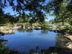 Koi Pond Osaka Garden in Jackson Park