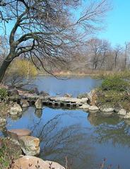 Osaka Japanese Garden in Jackson Park, Chicago