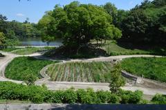 Oike Park in Tokai City, Aichi Prefecture