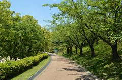 scenic view of Oike Park in Tokai City, Aichi Prefecture