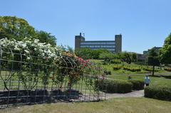 Oike Park rose garden in Tokai City, Aichi Prefecture