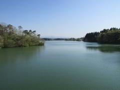 Peaceful water surface in early summer