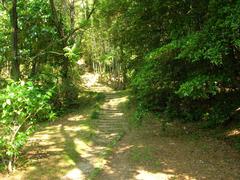 Oike Park scenic view with greenery and water in Tokai city, Aichi prefecture, Japan