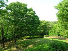 Oike Park in Tokai city, Aichi prefecture, Japan