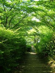 Oike Park in Tokai, Aichi, Japan