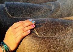 Thiruvalluvar Statue nail size comparison