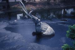 Life-size mammoth models in LA Brea Tar Pits