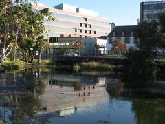 La Brea Tar Pits in Los Angeles