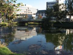 La Brea Tar Pits in Hancock Park, Los Angeles