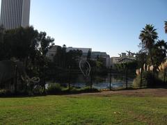 La Brea Tar Pits in Los Angeles with natural asphalt and Hancock Park