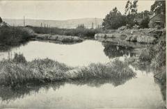 Bulletin of the Southern California Academy of Sciences cover page featuring scientific and natural history subjects