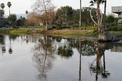 La Brea Tar Pits with visitors