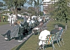 visitors at La Brea Tar Pits Park near George C. Page Museum