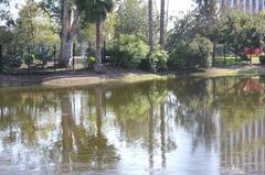 La Brea Tar Pit with fenced enclosure and water