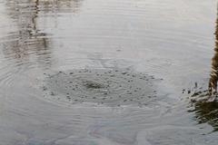 Methane bubbles in La Brea Tar Pits