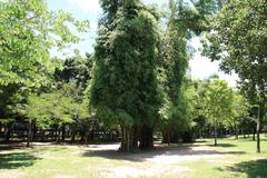 Da'an Forest Park plants in Taipei's Da'an District