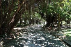 View of Heping East Road from Daan Forest Park in Da'an District, Taipei