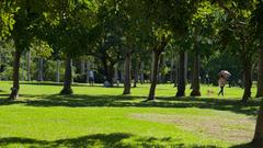 Daan Park pathway with visitors and trees