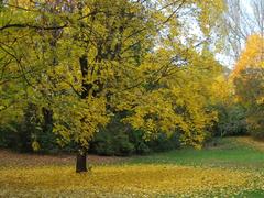 Dichtergarten Munich garden view