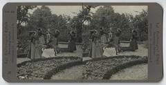 Girls in Amager national costumes in a garden, 1904