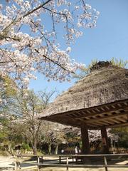 Open-Air Museum of Old Japanese Farm House in Toyonaka City, Osaka Prefecture