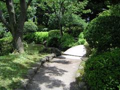 Kyu-Yasuda teien garden with traditional Japanese landscape