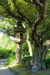 Old Yasuda Garden stone lantern in Sumida, Tokyo, Japan